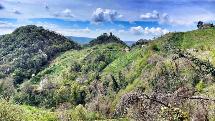 Agriturismo Al Credazzo Фарра-ди-Солиго Экстерьер фото